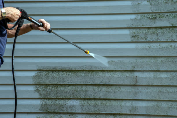 Best Roof Pressure Washing  in Pinconning, MI