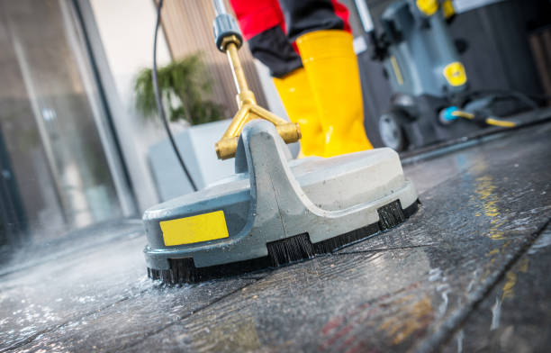 Best Local Pressure Washing Services  in Pinconning, MI