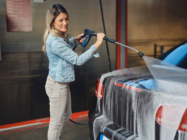 Best House Pressure Washing  in Pinconning, MI